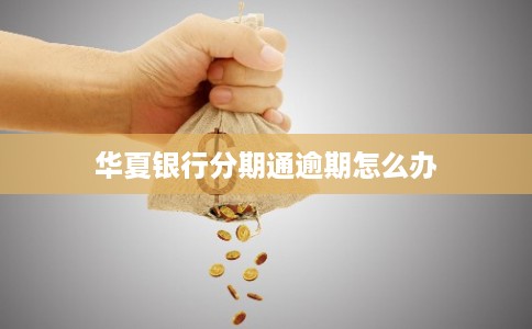 华夏银行分期通逾期怎么办