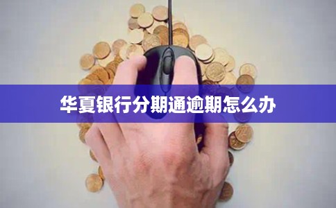 华夏银行分期通逾期怎么办
