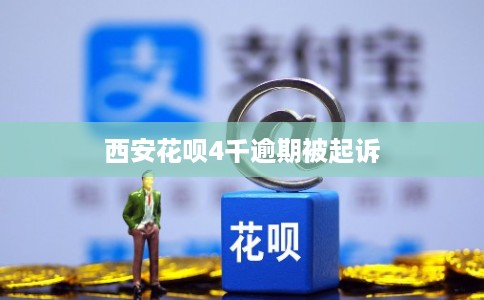 西安花呗4千逾期被起诉