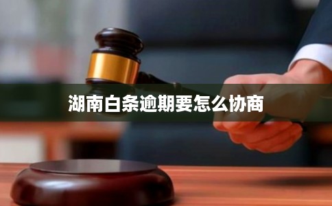 湖南白条逾期要怎么协商