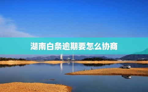 湖南白条逾期要怎么协商