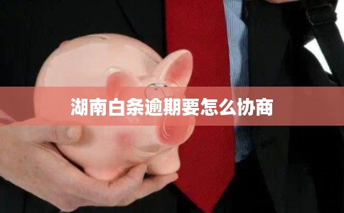 湖南白条逾期要怎么协商