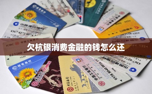 欠杭银消费金融的钱怎么还