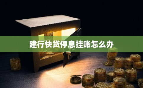 建行快贷停息挂账怎么办