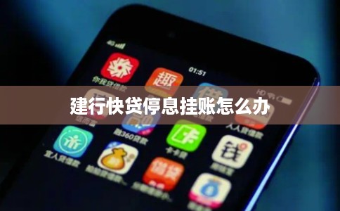 建行快贷停息挂账怎么办