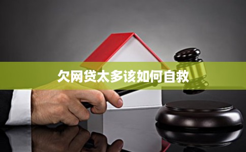 欠网贷太多该如何自救