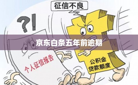 京东白条五年前逾期