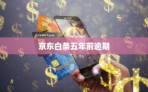 京东白条五年前逾期