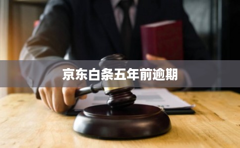京东白条五年前逾期