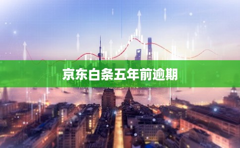 京东白条五年前逾期
