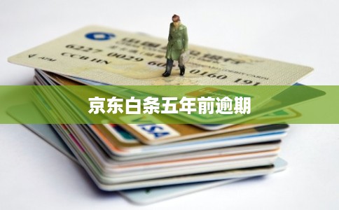 京东白条五年前逾期