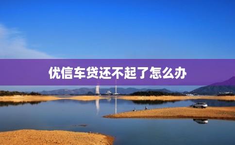 优信车贷还不起了怎么办