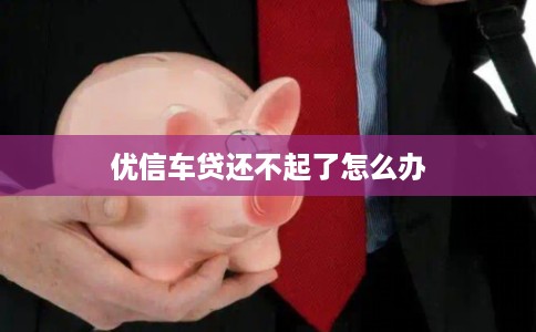 优信车贷还不起了怎么办