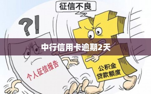 中行信用卡逾期2天