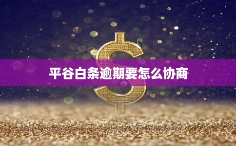 平谷白条逾期要怎么协商