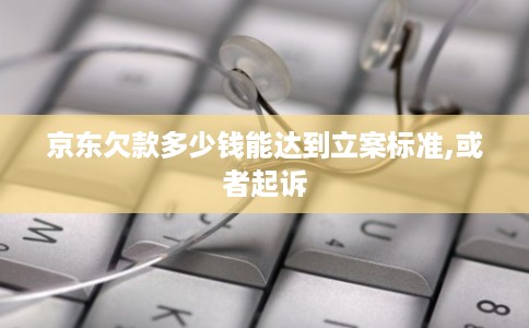 京东欠款多少钱能达到立案标准,或者起诉
