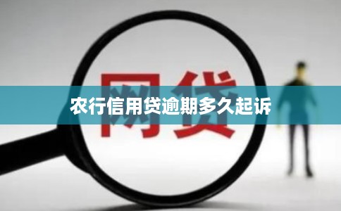 农行信用贷逾期多久起诉
