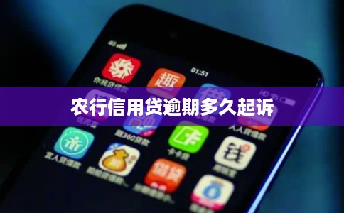 农行信用贷逾期多久起诉