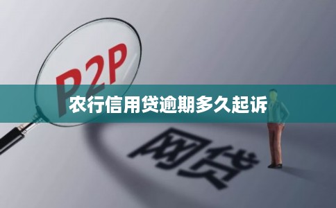 农行信用贷逾期多久起诉