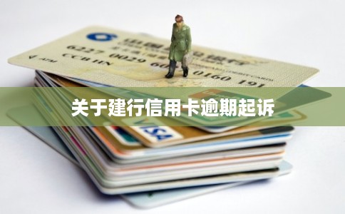 关于建行信用卡逾期起诉