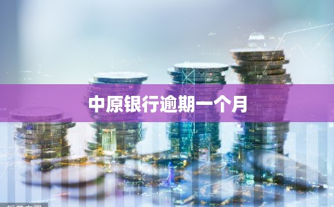 中原银行逾期一个月