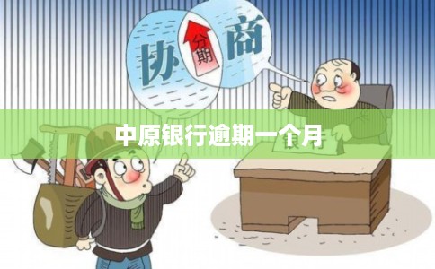 中原银行逾期一个月