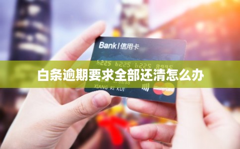 白条逾期要求全部还清怎么办