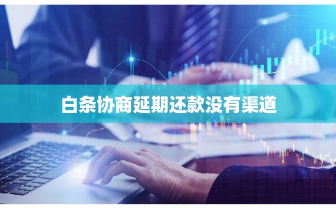 白条协商延期还款没有渠道