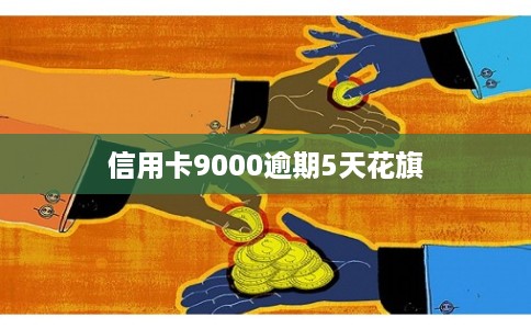 信用卡9000逾期5天花旗