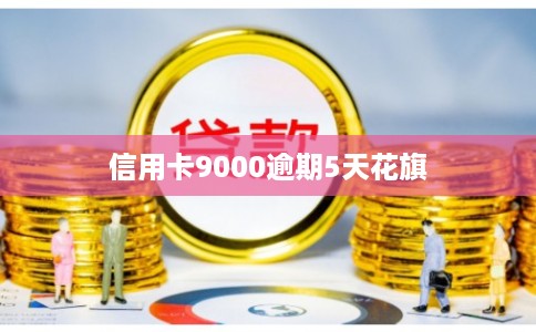 信用卡9000逾期5天花旗