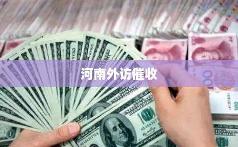 河南外访催收