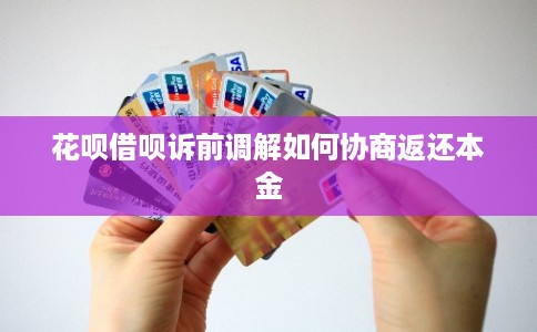 花呗借呗诉前调解如何协商返还本金