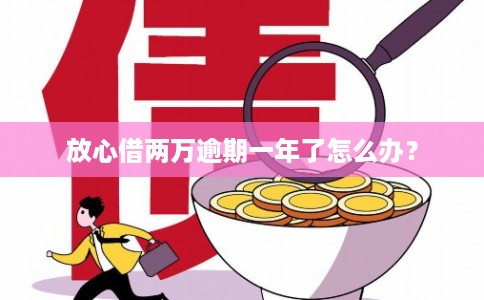 放心借两万逾期一年了怎么办？