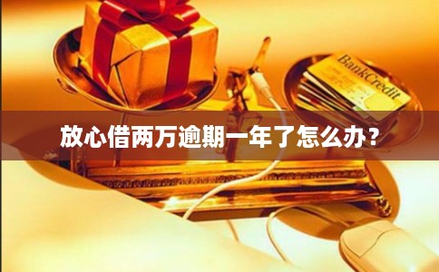 放心借两万逾期一年了怎么办？