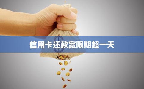 信用卡还款宽限期超一天