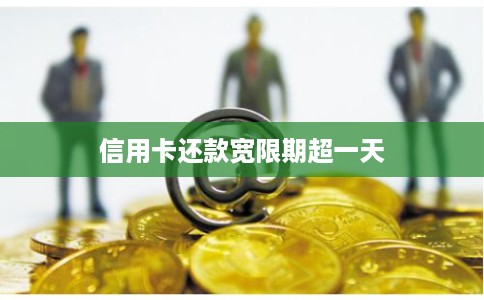 信用卡还款宽限期超一天