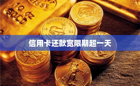 信用卡还款宽限期超一天