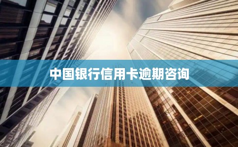 中国银行信用卡逾期咨询