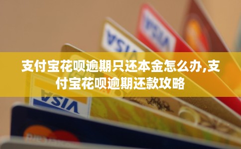 支付宝花呗逾期只还本金怎么办,支付宝花呗逾期还款攻略