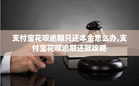 支付宝花呗逾期只还本金怎么办,支付宝花呗逾期还款攻略
