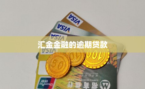 汇金金融的逾期贷款