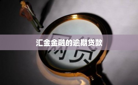 汇金金融的逾期贷款