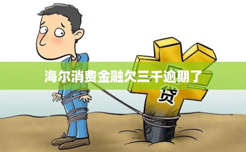 海尔消费金融欠三千逾期了