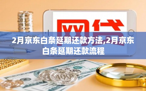2月京东白条延期还款方法,2月京东白条延期还款流程