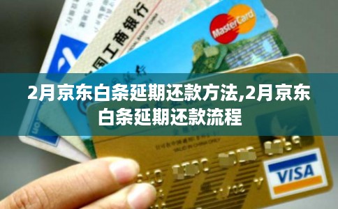 2月京东白条延期还款方法,2月京东白条延期还款流程