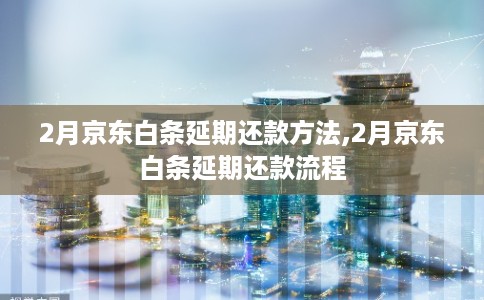 2月京东白条延期还款方法,2月京东白条延期还款流程