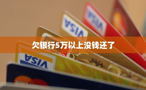 欠银行5万以上没钱还了