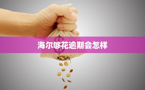海尔够花逾期会怎样