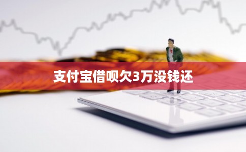 支付宝借呗欠3万没钱还