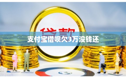 支付宝借呗欠3万没钱还
